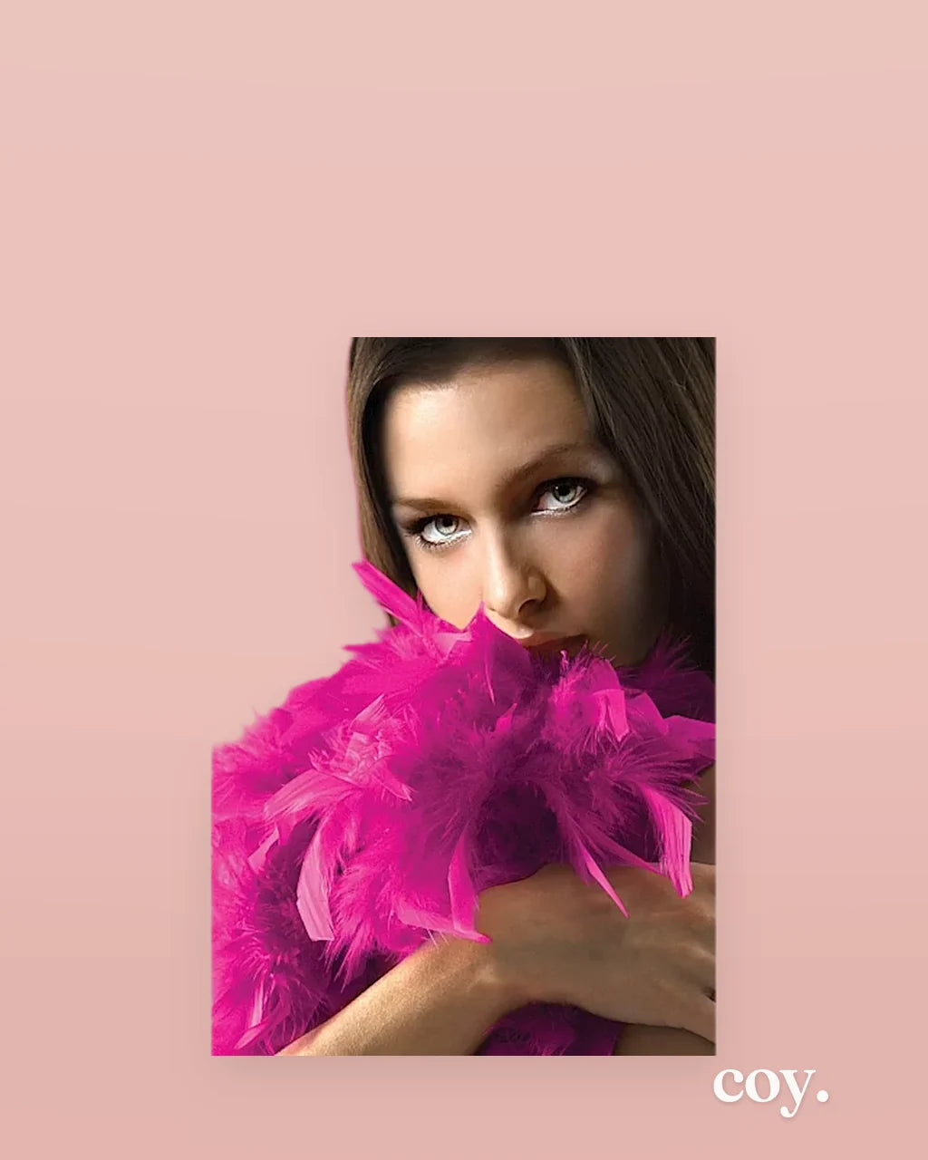 Boa — Coy