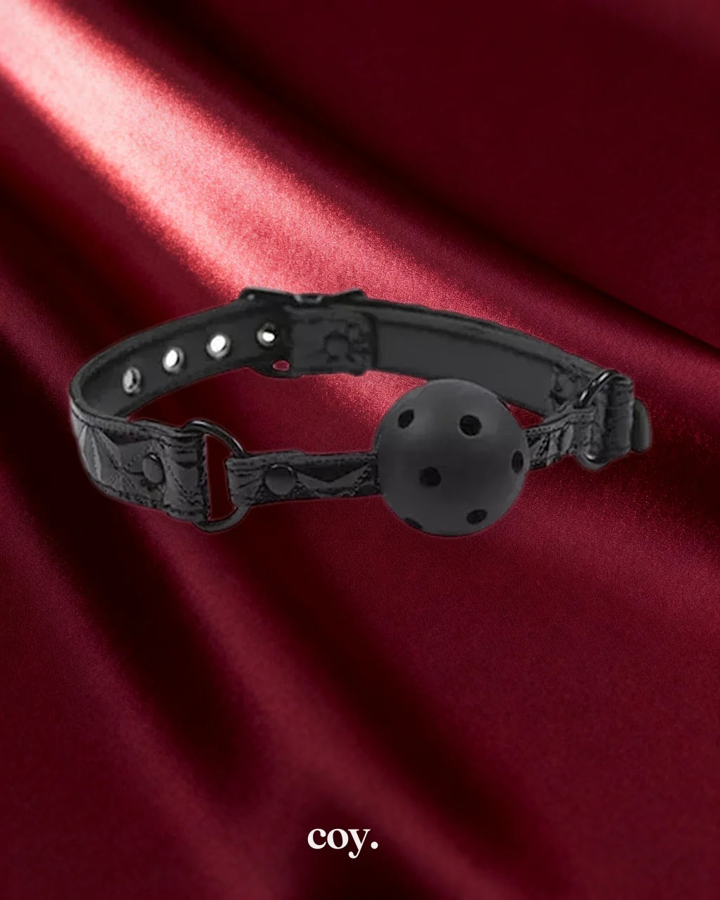 Sinful Black Ball Gag — Coy