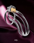 Share Satisfaction Kink Range Jail Chastity Cage 50 MM — Silver — Coy