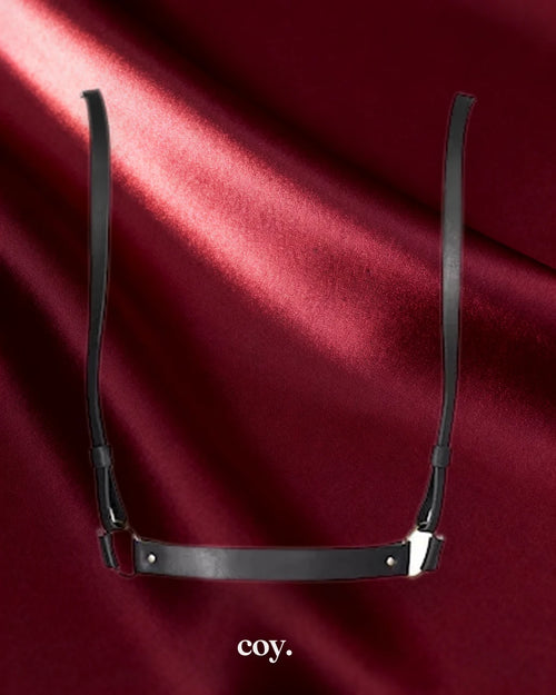 Bijoux Indiscrets Maze X Harness — Coy