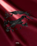 Jimmyjane A Darker Shade Of Sexy Fetish Kit — Coy