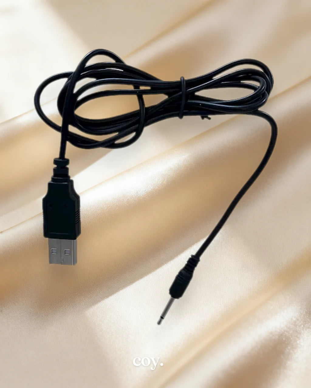 Share Satisfaction USB Pin Charger — Coy