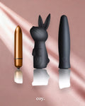 Silhouette Dark Desires Kit — Coy