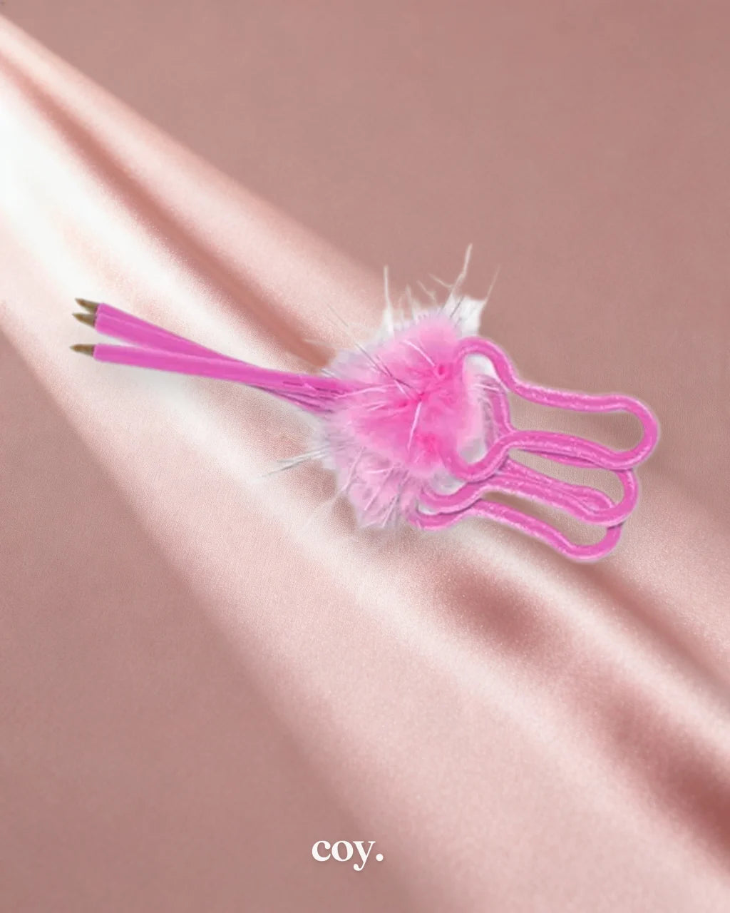 Bachelorette Party Favours Pecker Pen — Coy