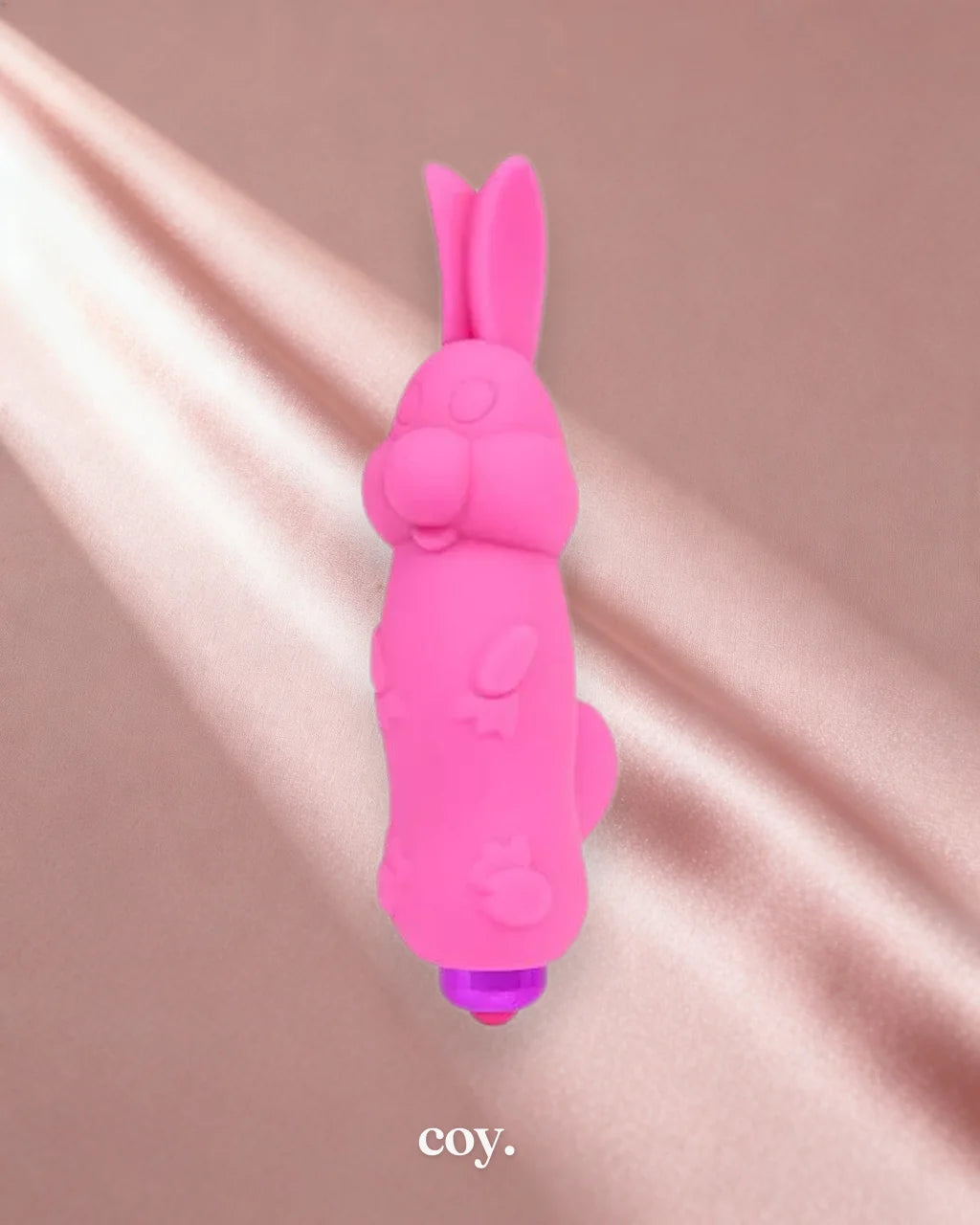 Rabbit Bullet Vibrator — Coy
