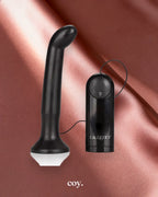 Dr Joel Kaplan Ez-Reach Prostate Probe — Coy