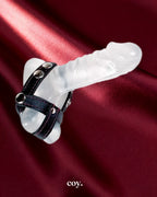 Reds  Leather 3 Piece Cock & Ball Divider /Red — Coy