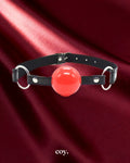 Leather Play TPE Ball Gag — Black — Coy