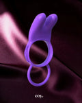 Fantasy C-Ringz Twin Teazer Rabbit Cock Ring — Purple — Coy