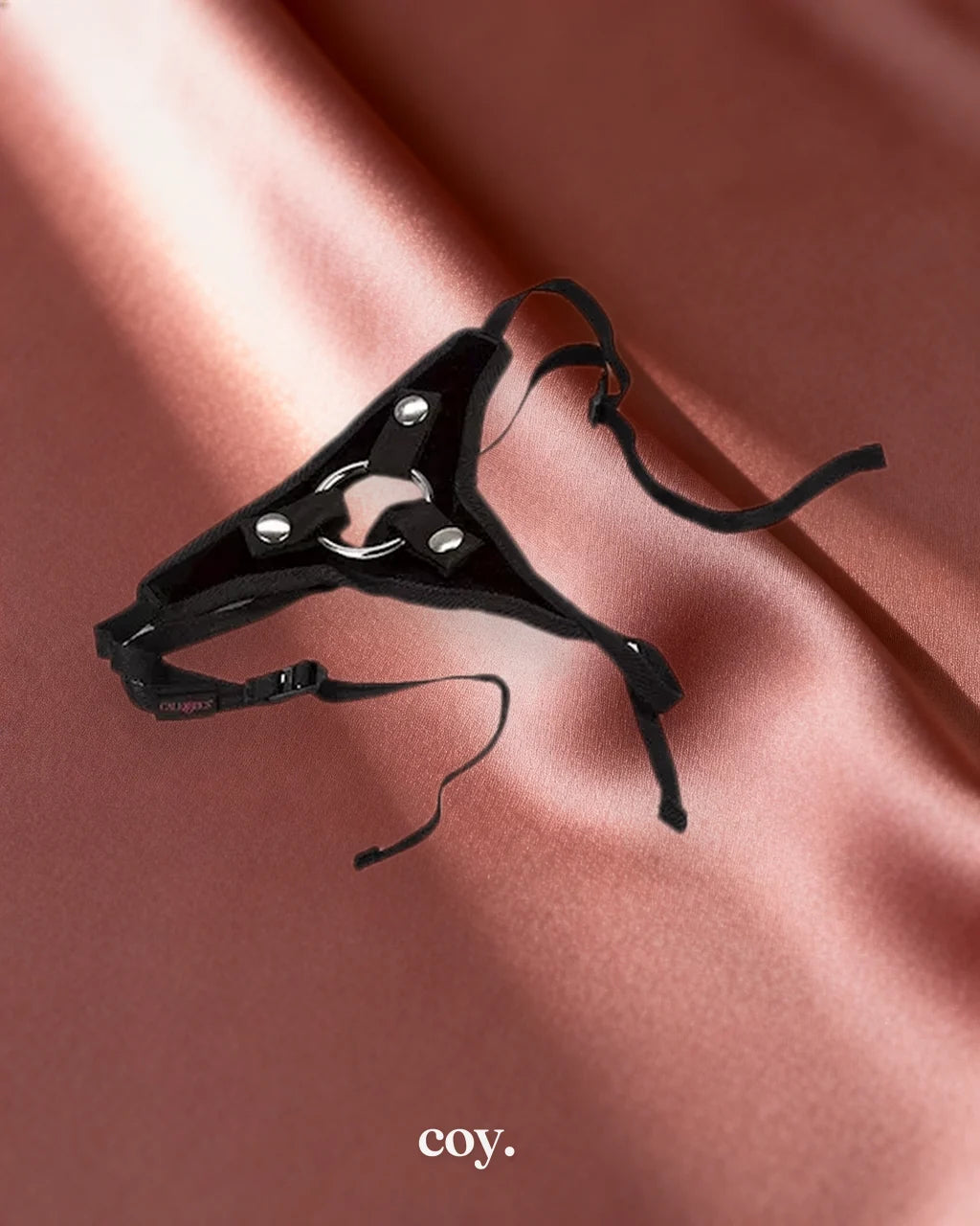 Her Royal Harness -The Princess — Coy