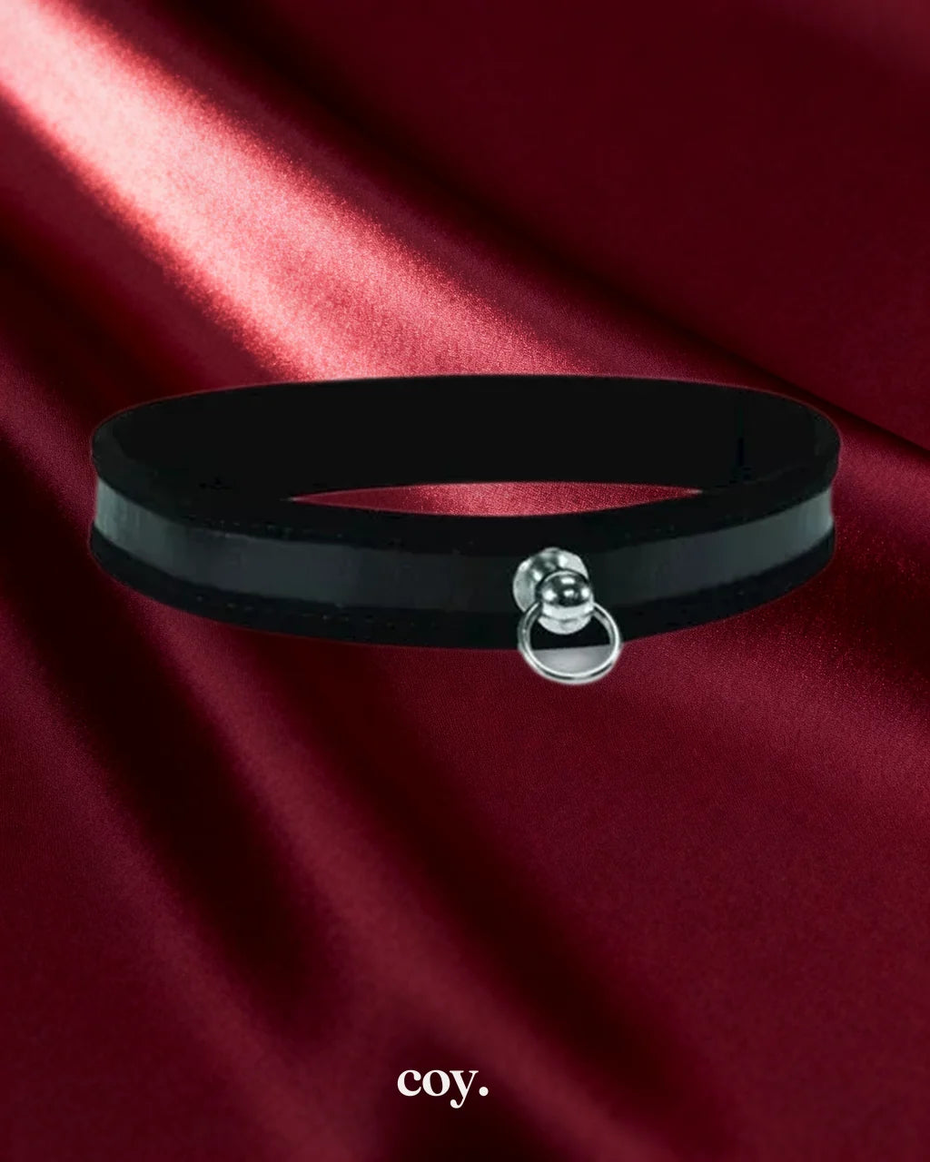 Sportsheets Black Day Collar — Coy