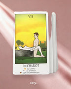 Sex Fortunes Card Deck — Coy