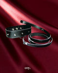 Leather Leash And Collar — Coy