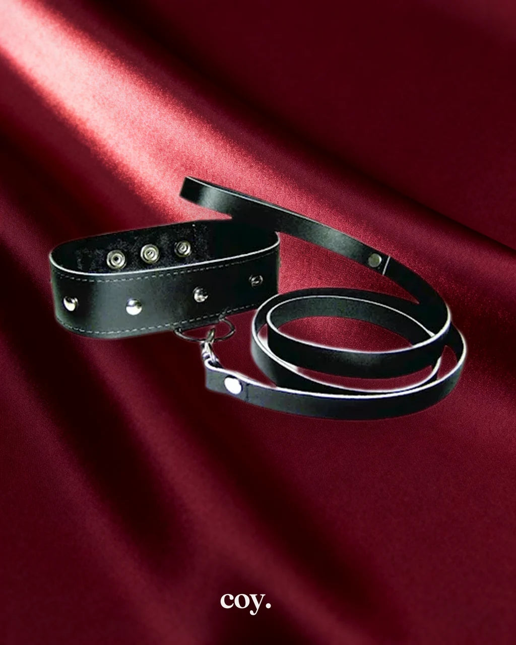 Leather Leash And Collar — Coy
