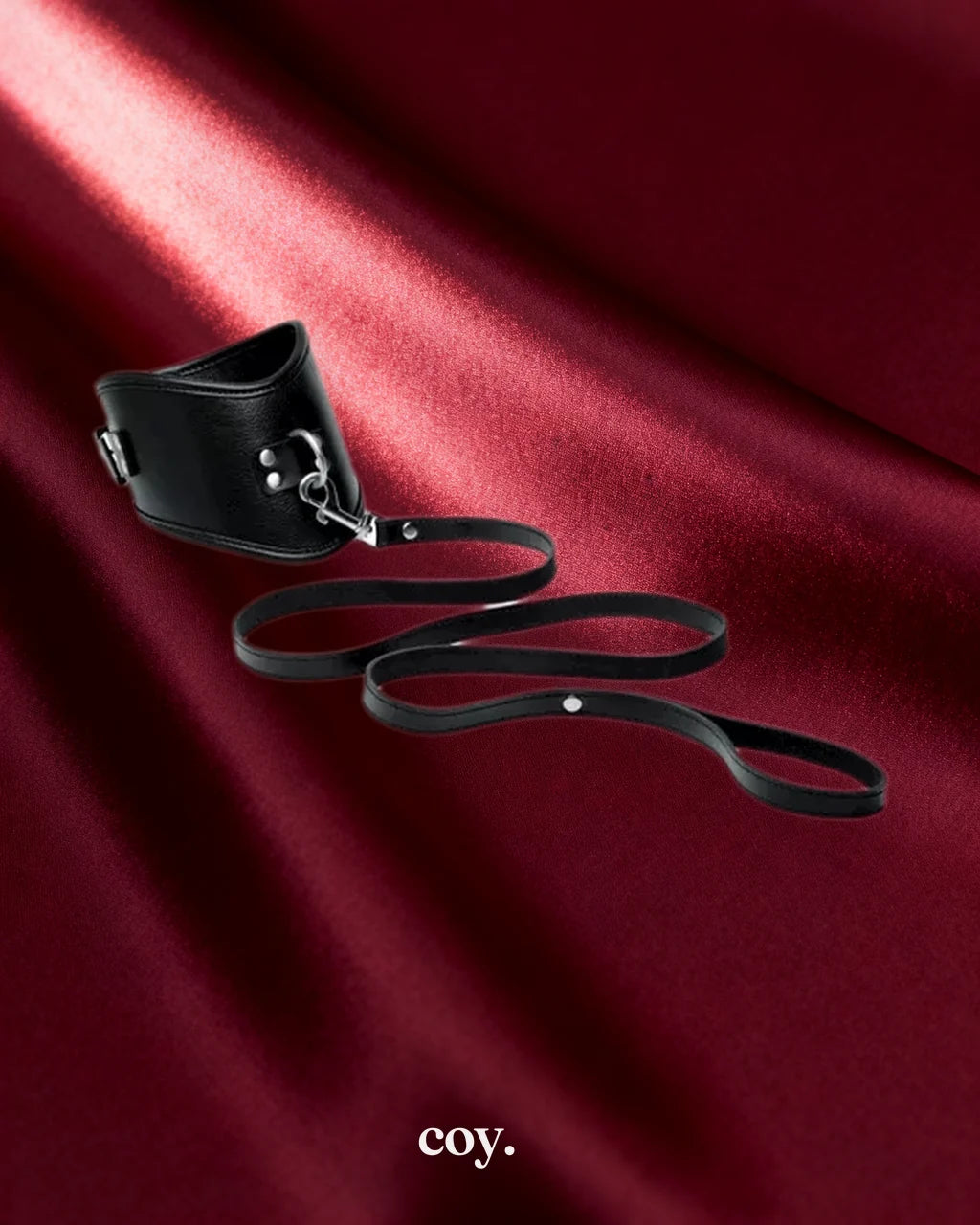Leather Posture Collar with Leash — Black — Coy