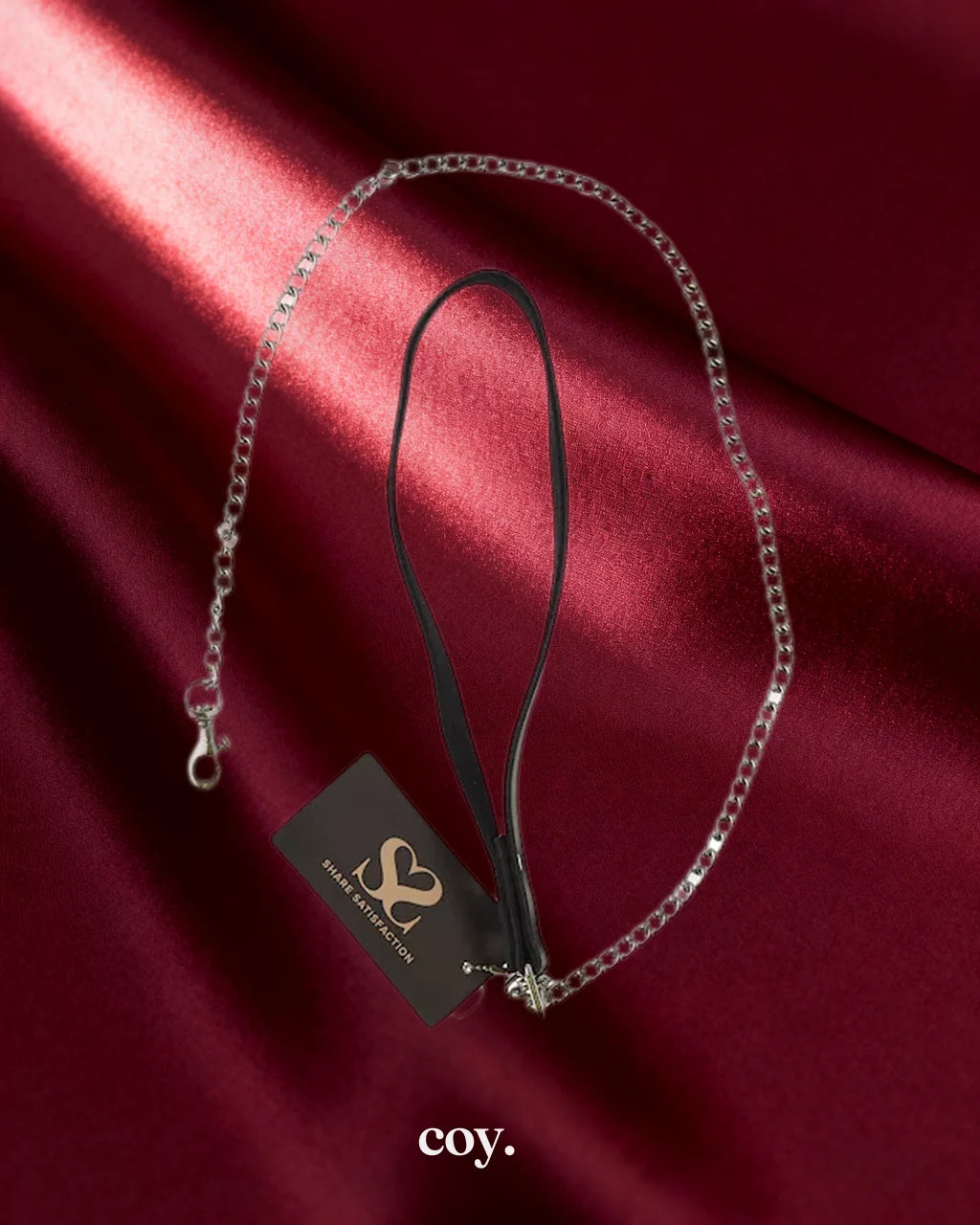 Bound X Chain Leash with Textured Leather handle — Coy